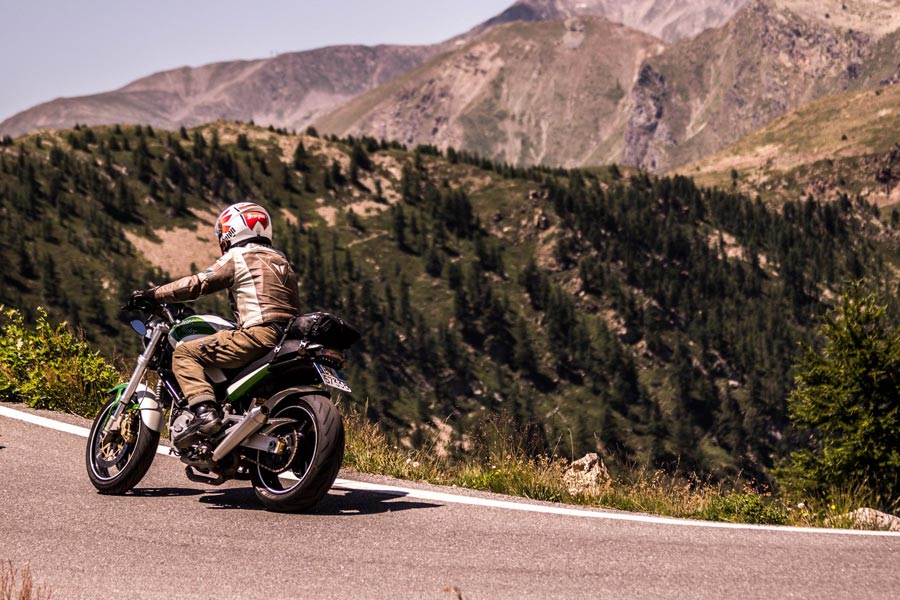 Adidas expects normalis strong growth